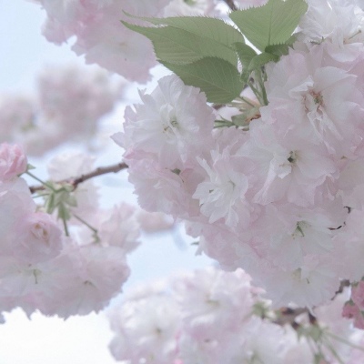 Furry插画色彩搭配兽圈群